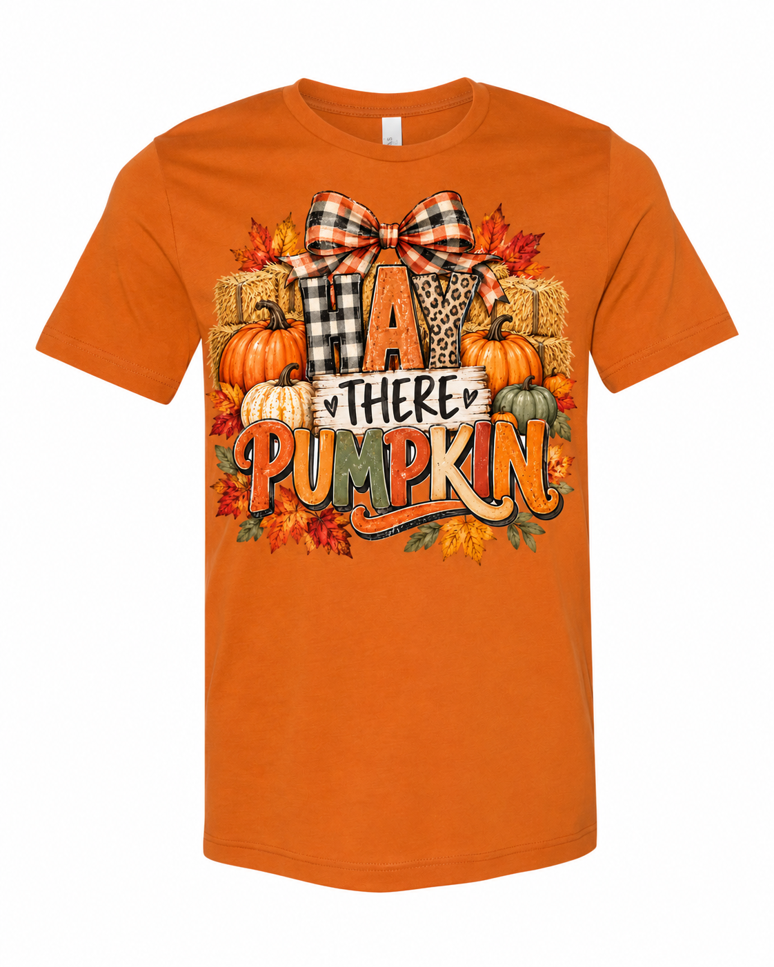 "Hay There Pumpkin" T-shirt Ladies