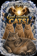 In the Beginning God Created Cats CUSTOM T-Shirt